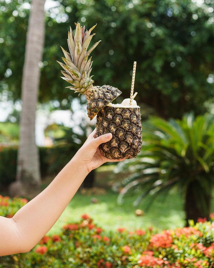 מלון Blue Tree Towers Sao Luis מראה חיצוני תמונה Pineapple juice
