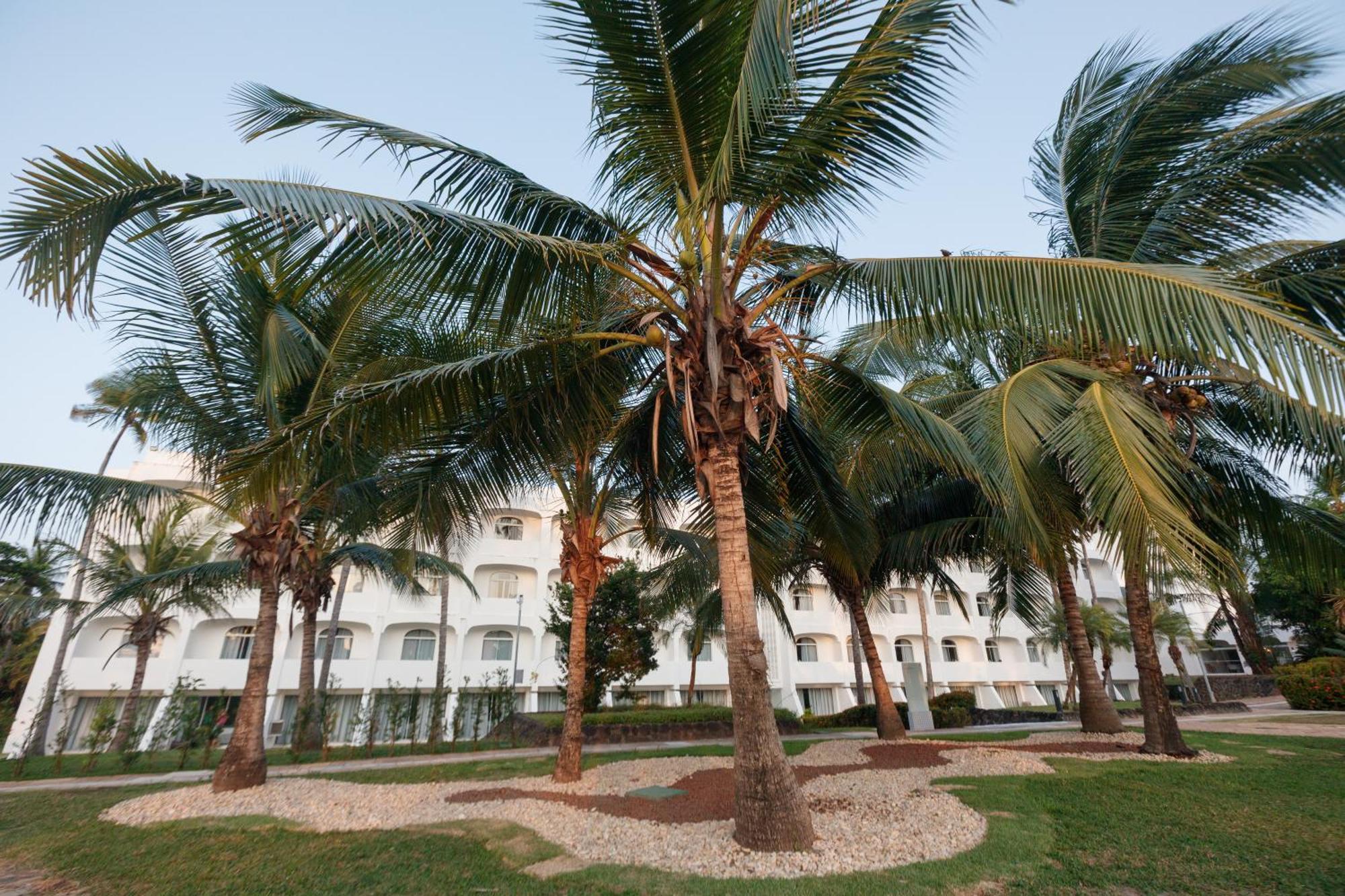 מלון Blue Tree Towers Sao Luis מראה חיצוני תמונה Coconut trees in the city